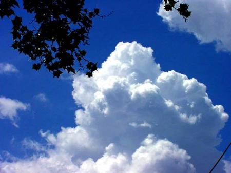 There's no canceling the hope that is always born 'neath the summer skies of Houston. It's been happening too long to be stopped now.