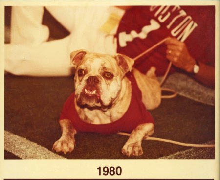 Babe McCurdy was the UH Mad Dog Defense mascot at the Astrodome in 1979-80.