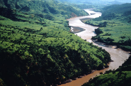 Denial Is Not Just a River in Egypt.