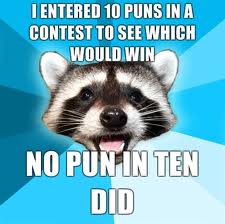 puns-puns-23637652-225-224