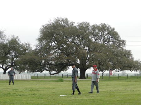 There's that oak tree that Gehrig's homer cleared..