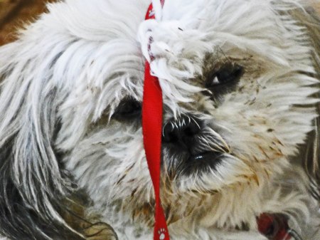 "He didn't really blow out all the lights with his singing, but he did just about explode both my ear drums!"