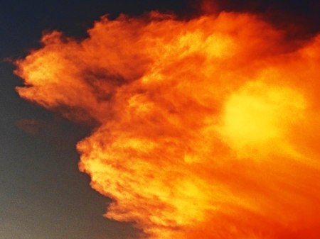 Earlier than our actual UH defeat, a left side profile of Cougar mascot Shasta burning up in the sunset skies over TDECU should have been fair warning that something very bad and quite evil was coming and very soon.