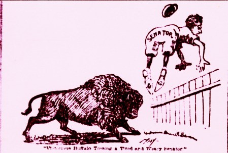 You also can't play baseball in a buffalo herd.