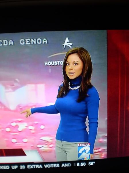 Jennifer Reyna Traffic Reporter Channel 2, Houston