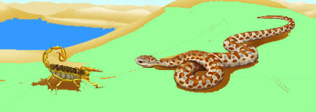 The Scorpion and The Snake