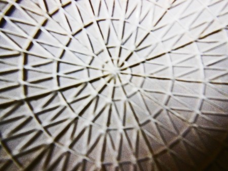 It's even possible to get a good shot of the roof from inside the minii-Astrodome too. Of course, you have be either an endoscopic camera or a very, very tiny person to capture the view in this detail!