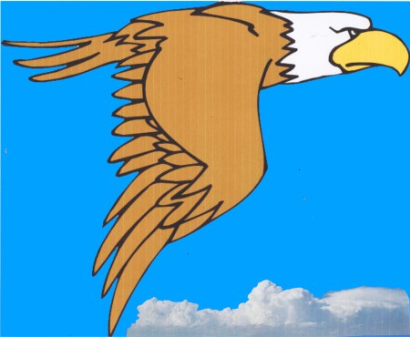 THE PECAN PARK EAGLE