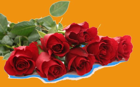 Visit allwallpapersfree.blogspot.com