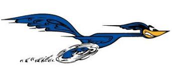 Rpadie "Meep-Meep" Roadrunner