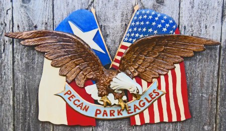  "Pecan Park Eagles" a 28"x15" work of sculptured wood By John C. McCurdy As a Gift to his Brother Bill In the Summer of 2016