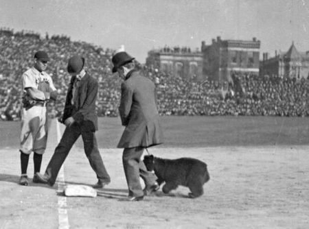 Wrigley Field, 2016 Photo Contribution By Miriam Edelman