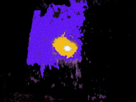 Sunday, 11/12/2016, 9:33 PM The Super Moon Through the tress in our front yard.