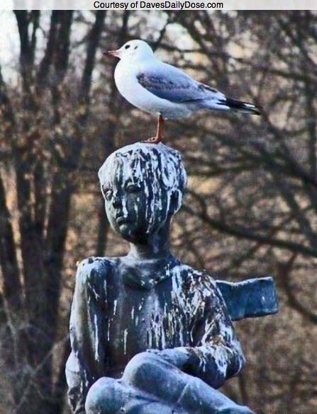 Sometimes a picture really is worth a thousand words.