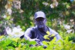 BIGGIO STATUE